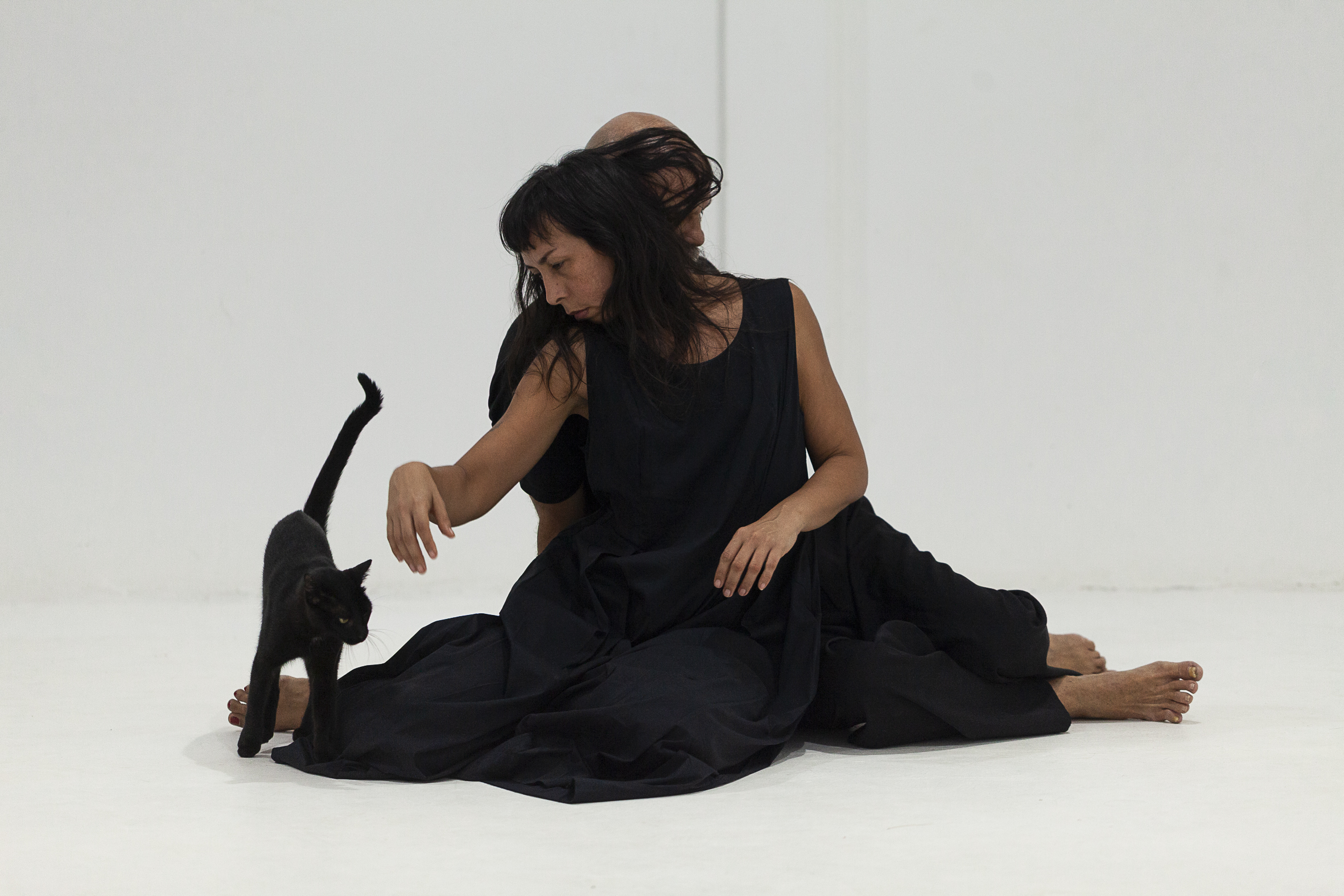 CAMPO Arte Contemporânea completa 10 anos com a primeira edição do Mormaço em 2026