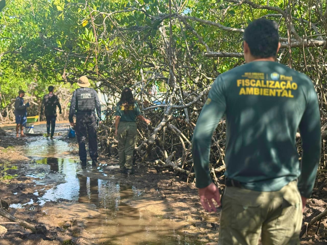 Semarh reforça fiscalização e orientação na primeira semana do defeso do caranguejo no litoral do Piauí