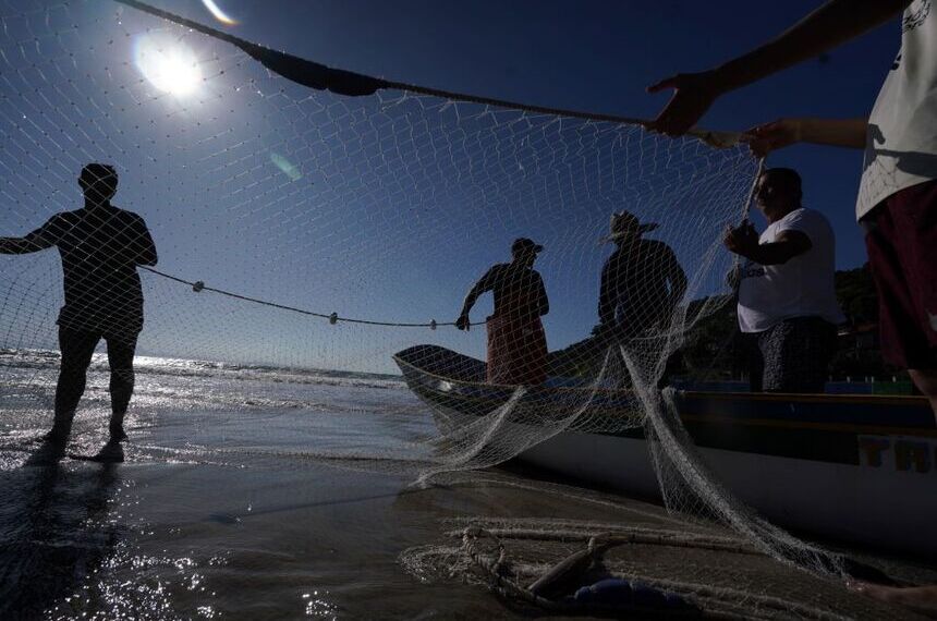Câncer de pele: Senado avalia prevenção para pescadores e trabalhadores rurais