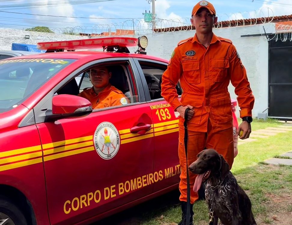 Novo cão perito chega ao Piauí para atuar em operações de localização de corpos