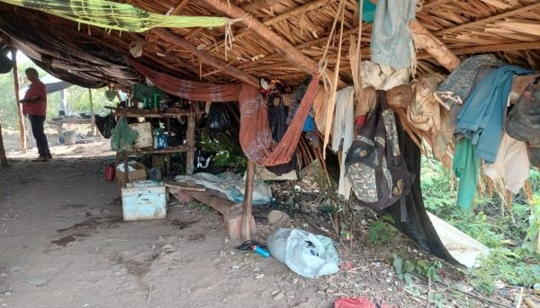 Trabalho escravo no Piauí: 500 resgates em seis anos