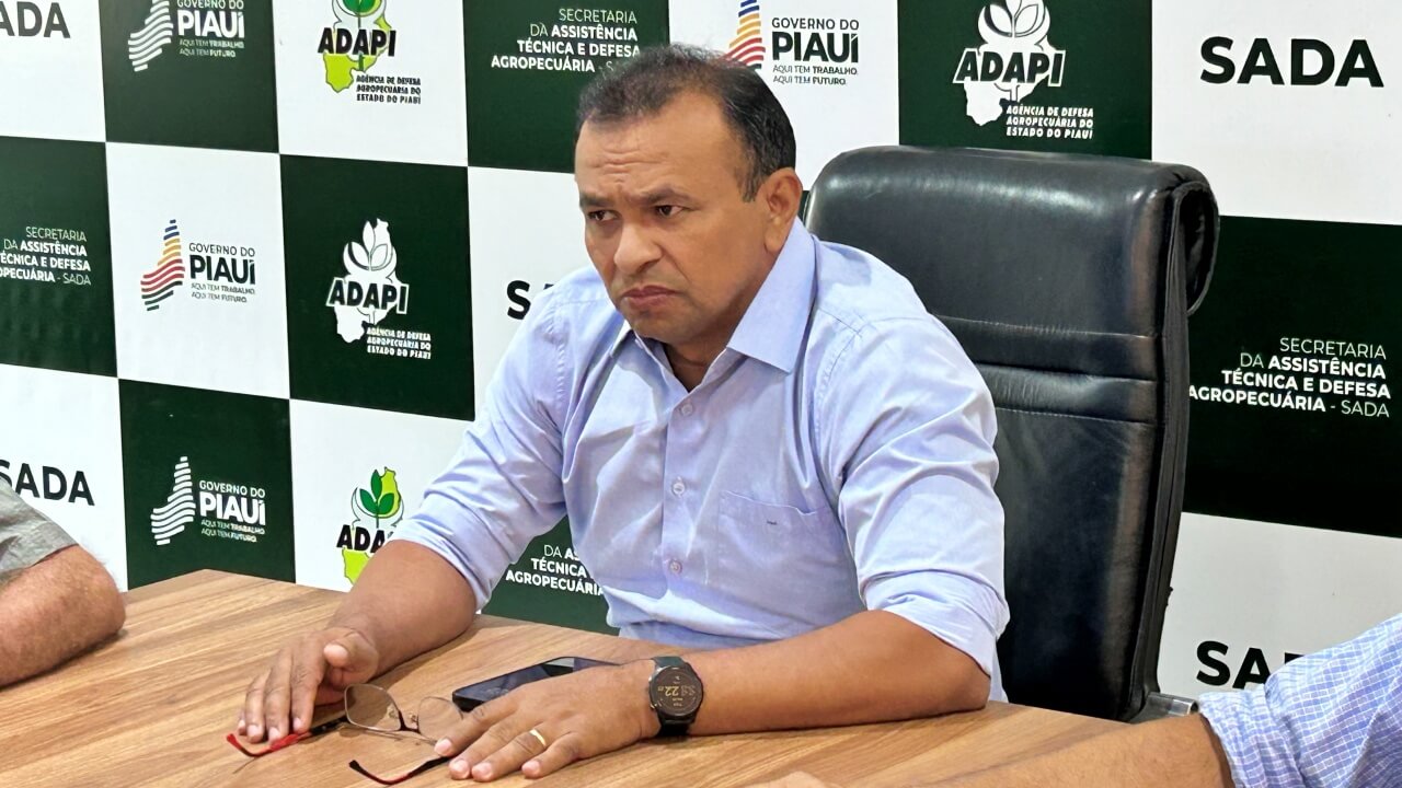 Piauí inicia implementação de programa de melhoramento genético para equinocultura