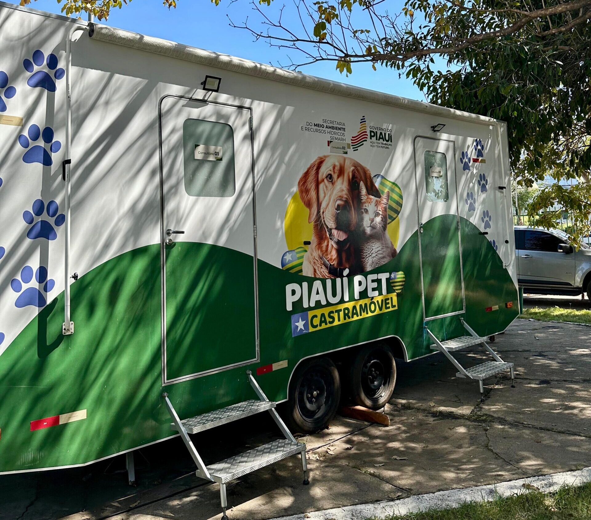 Castramóvel retorna a Teresina e prevê realização de 50 castrações em animais de ONGs parceiras
