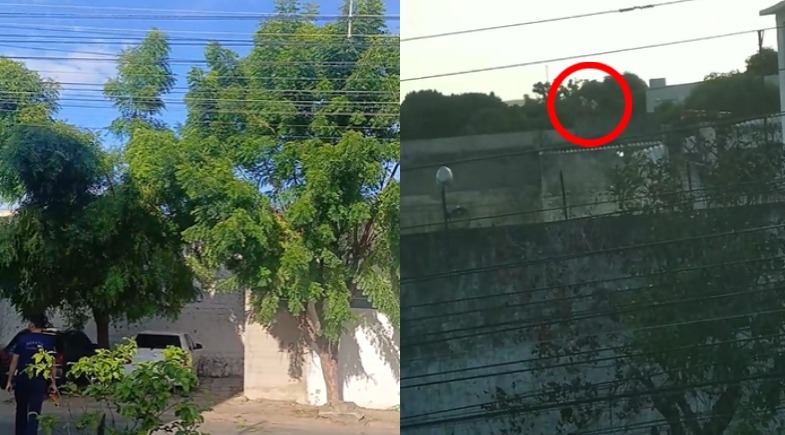 VÍDEO: Internos escalam muro e tentam fugir do CEM em Teresina