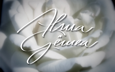 Confira o resumo da novela Alma Gêmea de hoje, segunda-feira (18/11)