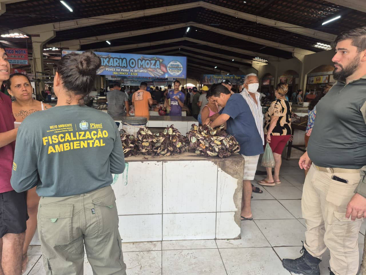 Período de defeso: Semarh realiza maior apreensão de caranguejos-uçá durante operação no litoral do Piauí