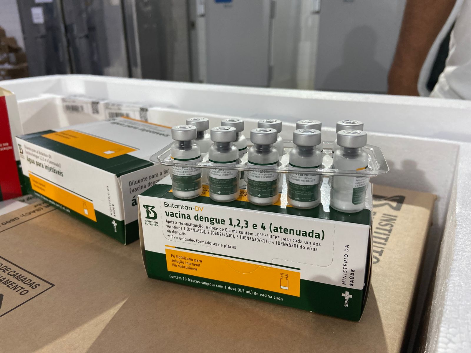 Piauí recebe primeiro lote da vacina contra a dengue para imunizar profissionais de saúde