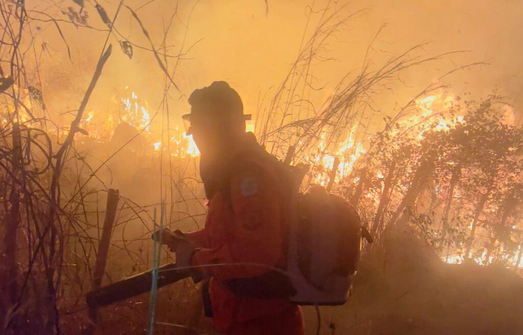 Piauí abre seleção para plano estadual de combate a incêndios florestais