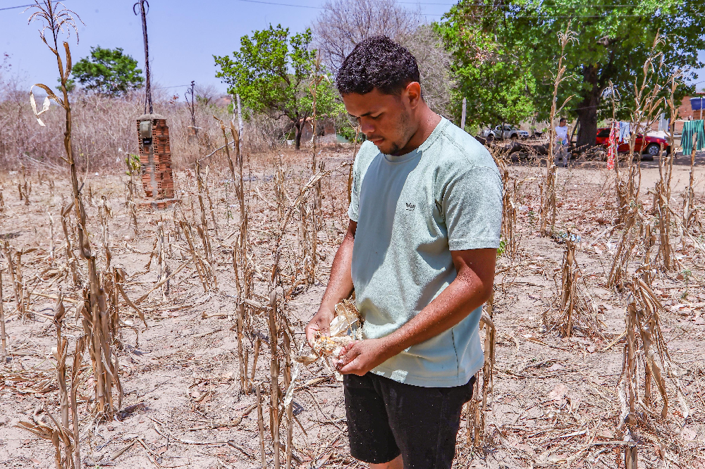 Monitoramento da Semarh aponta 49 cidades do Piauí em seca extrema, apesar do aumento das chuvas