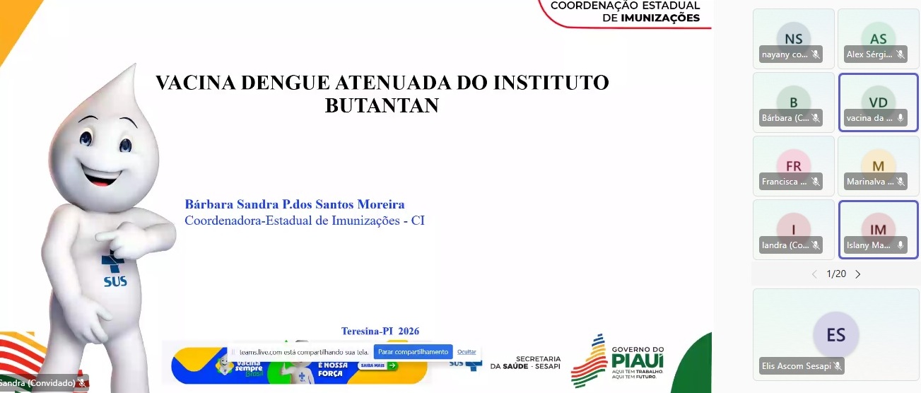 Sesapi orienta municípios piauienses sobre vacina contra dengue e anticorpo para bronquiolite