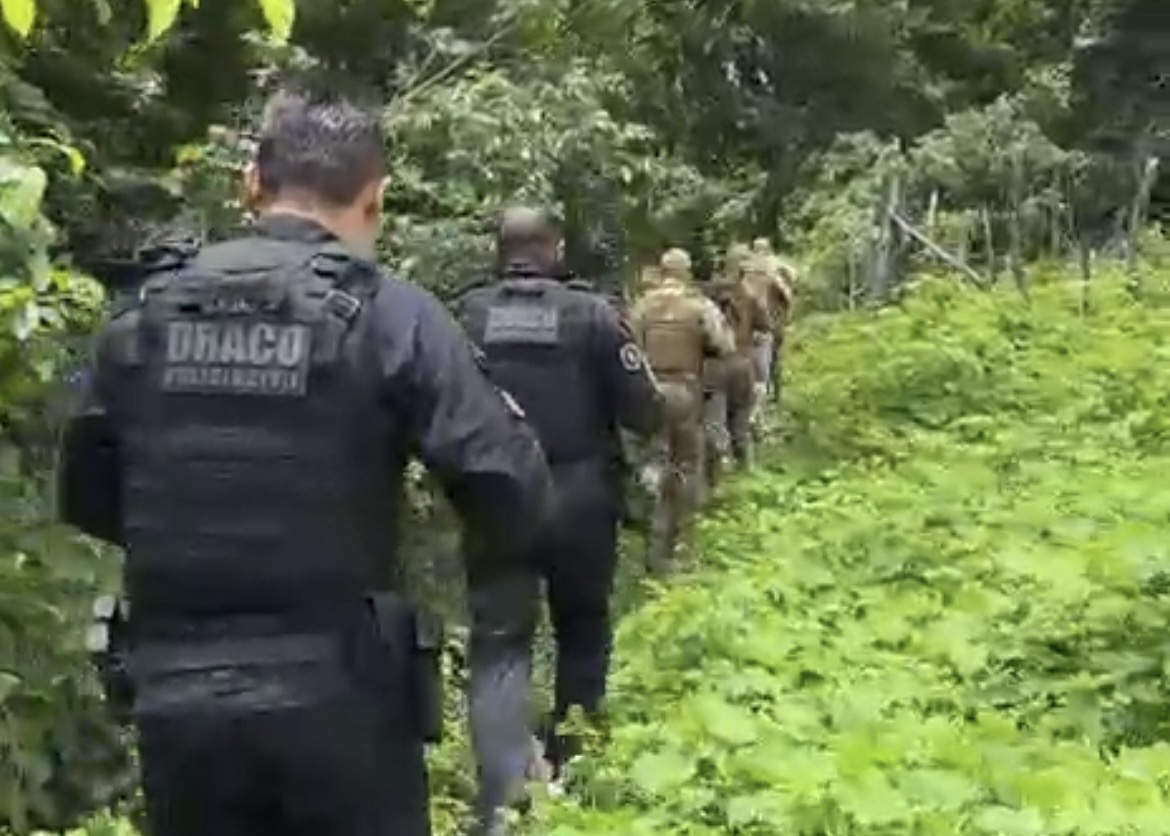 Secretaria de Segurança intensifica combate ao tráfico de drogas em Esperantina