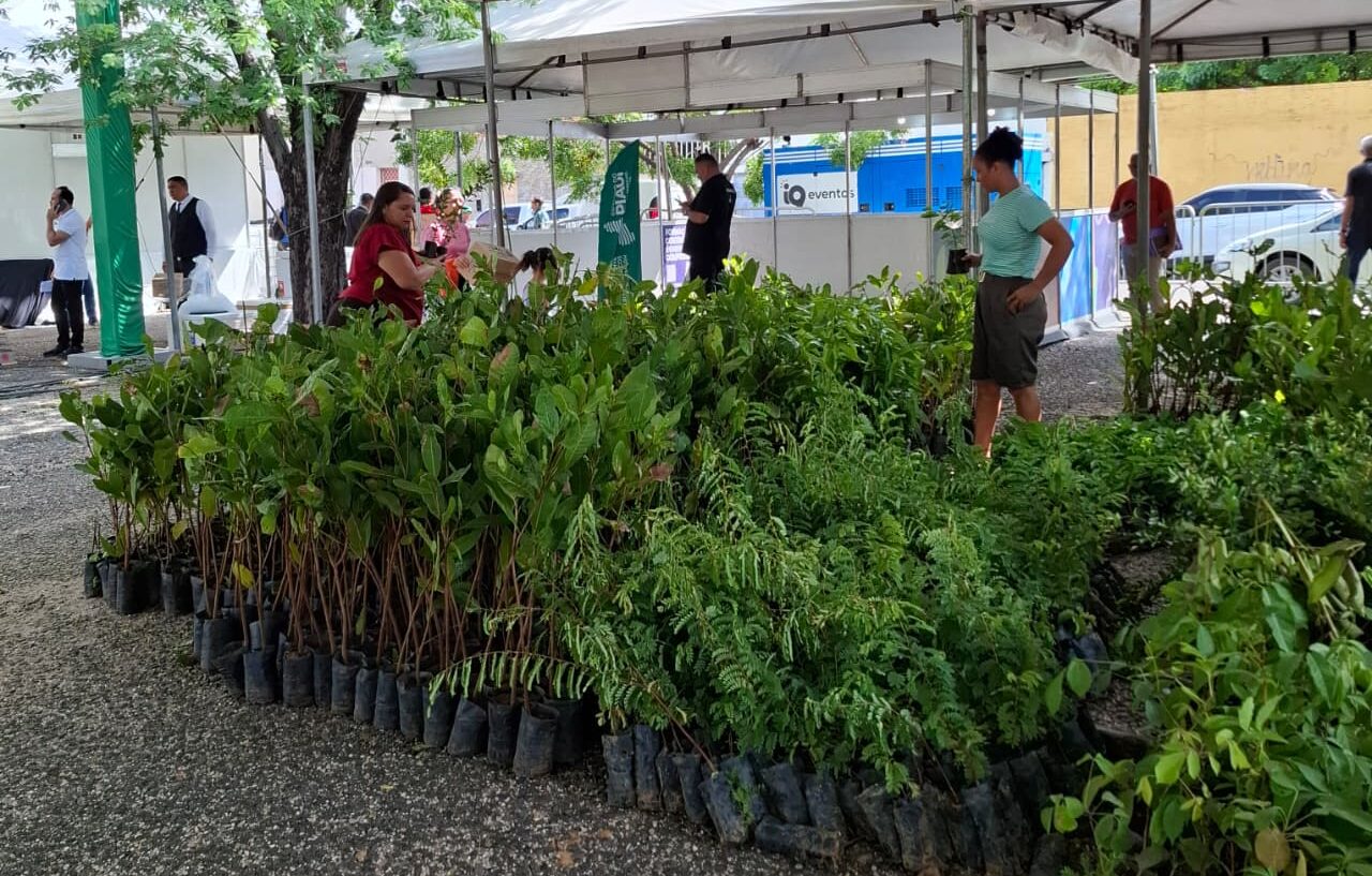 Semarh leva educação ambiental e proteção animal ao Governo do Brasil na Rua em Teresina