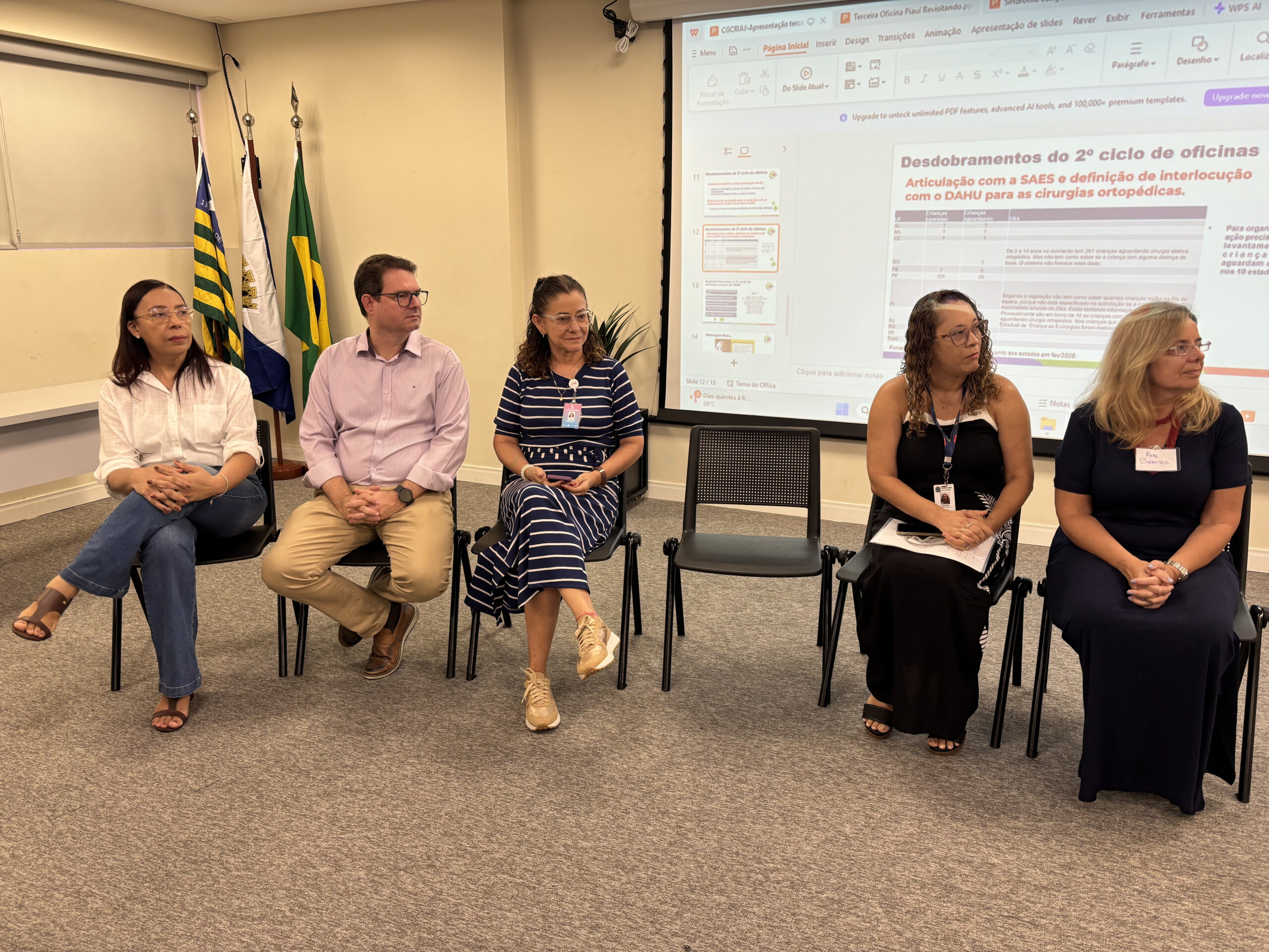 Piauí realiza oficina para fortalecer cuidado a crianças com Síndrome Congênita do Zika