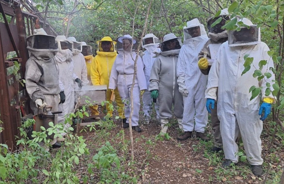 Mais de 3 mil mulheres geram renda e impulsionam a produção de mel no Piauí