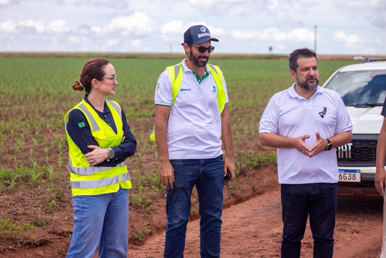 Com apoio da Investe Piauí, fazenda já produz cerca de 300 milhões de toneladas de soja e milho por ano no sul do estado