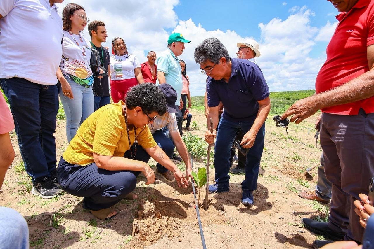SAF entrega viveiro com capacidade para produzir 50 mil mudas de caju no município de Pio IX