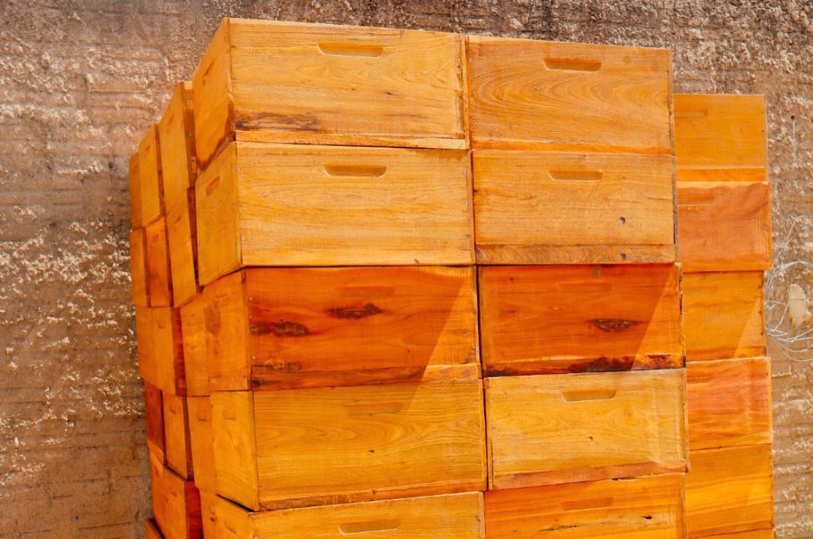 Semarh distribui mais de 1,5 mil caixas de abelhas para pequenos produtores e fortalece cadeia do mel no Piauí