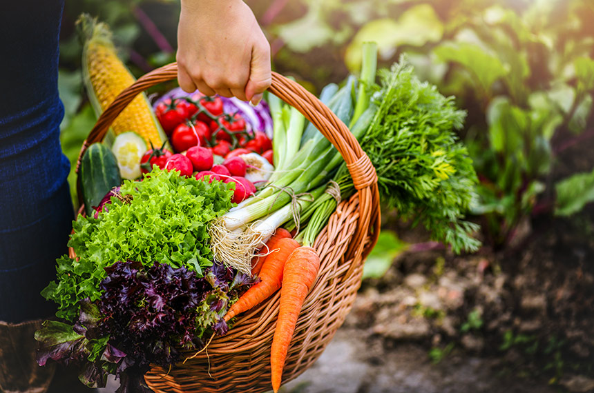 CRA vota projeto para facilitar doação de alimentos e combater desperdício