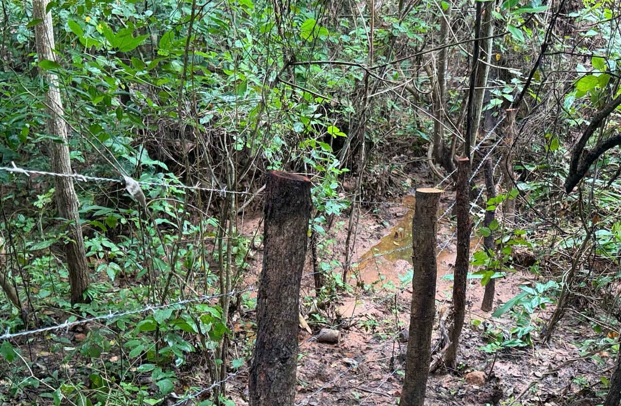 Secretaria do Meio Ambiente recupera cinco nascentes em Ribeiro Gonçalves e reforça segurança hídrica no cerrado