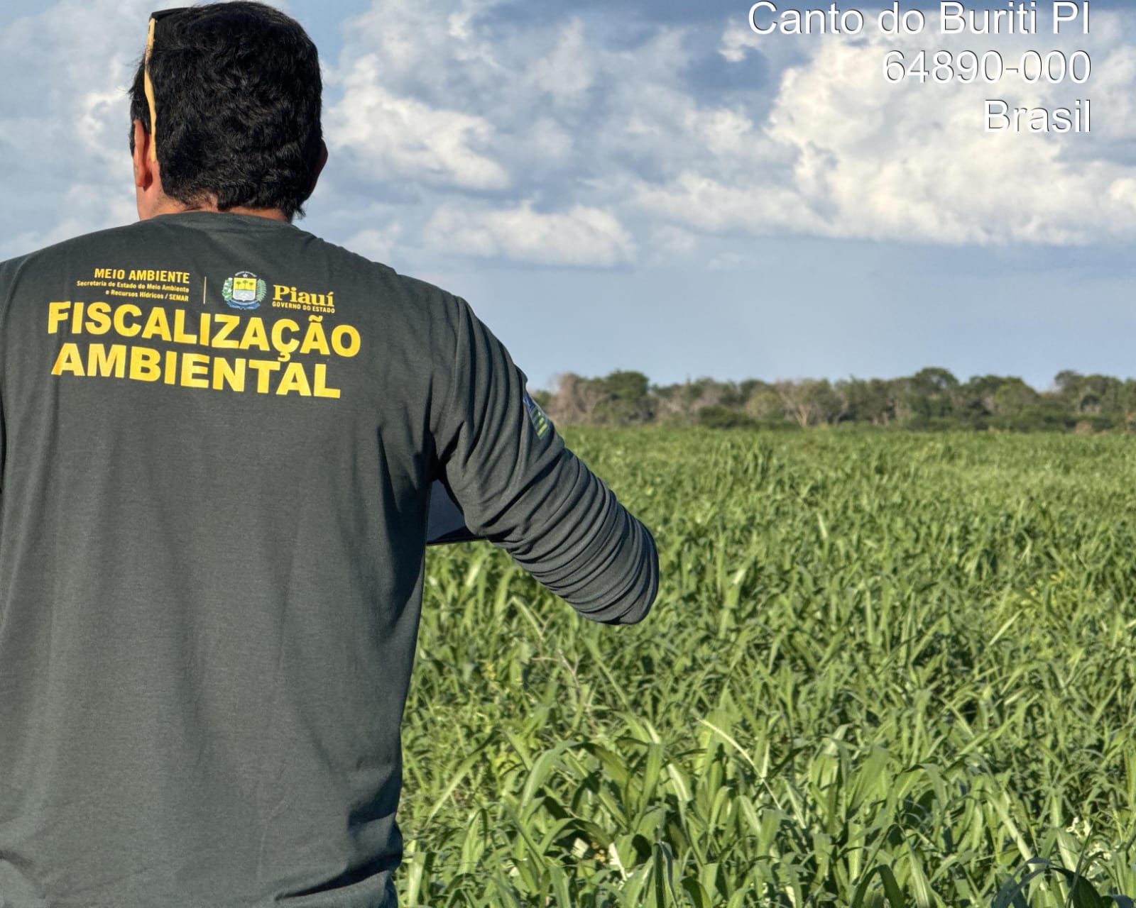 Operação Caatinga Resiste identifica mais de 1.500 hectares de desmatamento ilegal no Piauí e estima multas de R$ 2 milhões