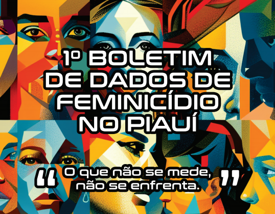 SSP‑PI divulga boletim com análise detalhada dos feminicídios registrados no estado