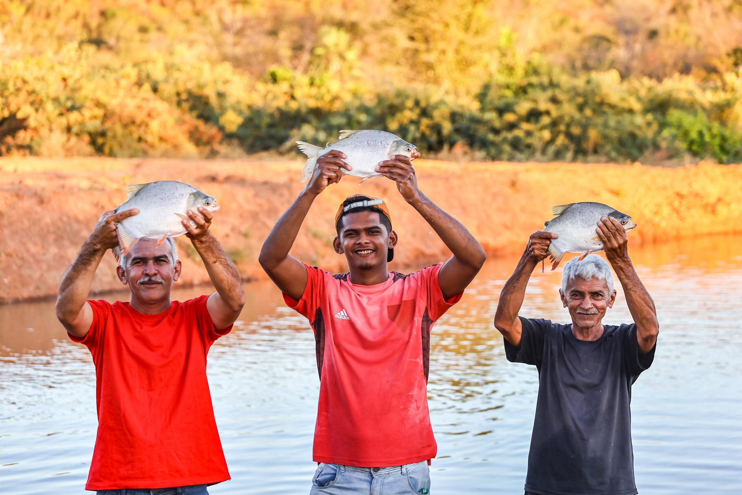 Semana Santa impulsiona produção de peixes no Piauí e amplia renda de agricultores familiares