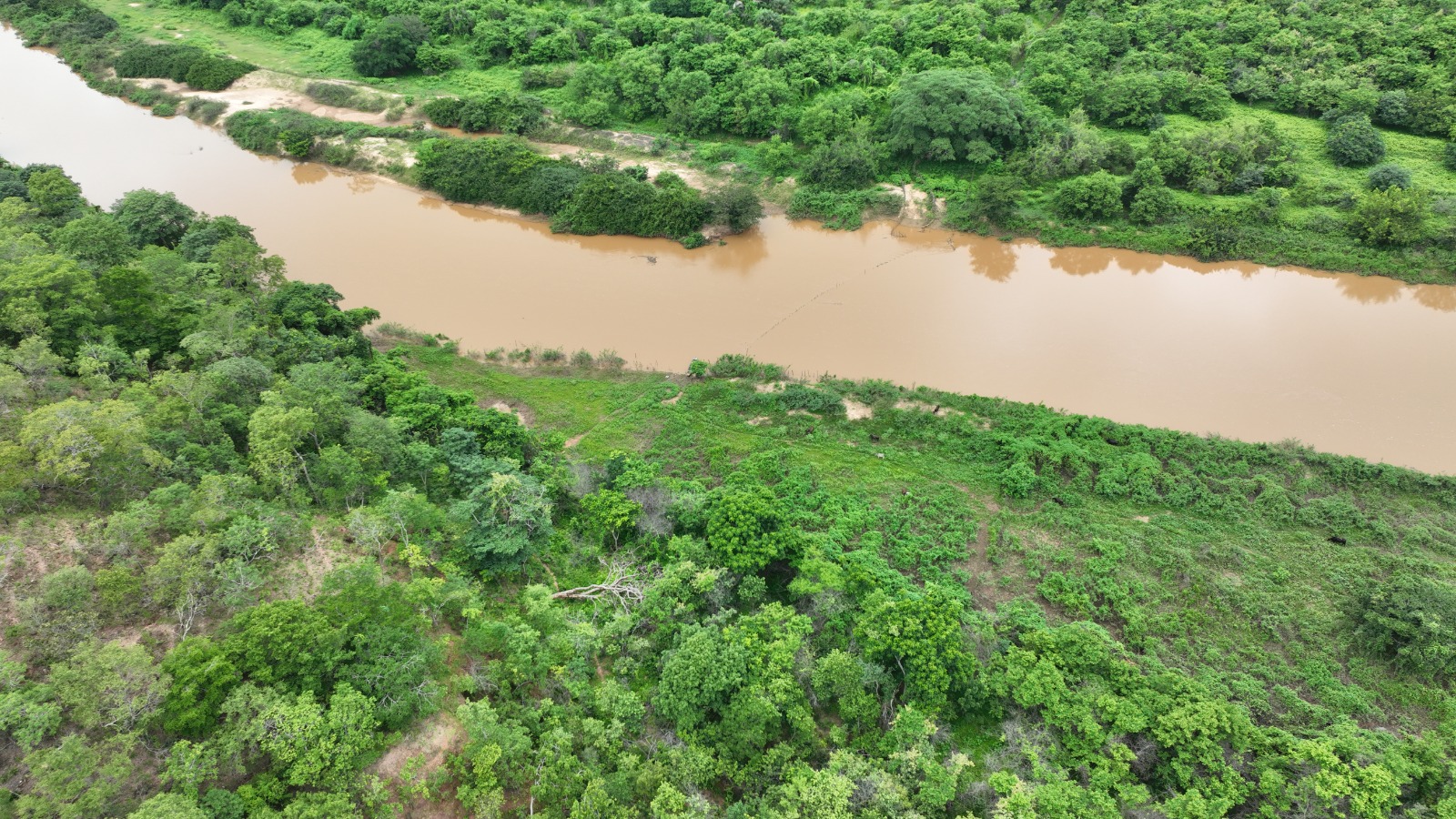 Recuperação de vegetação ciliar avança no território quilombola Mimbó com apoio da Semarh e participação comunitária