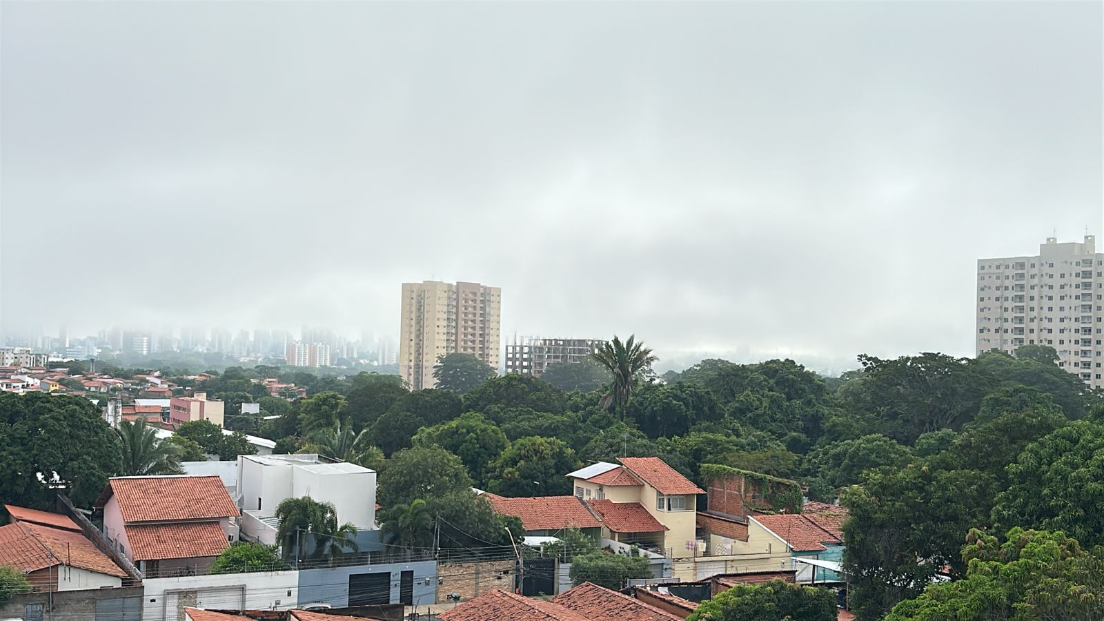 Neblina em Teresina: meteorologista explica como alta umidade e queda de temperatura provocam o fenômeno