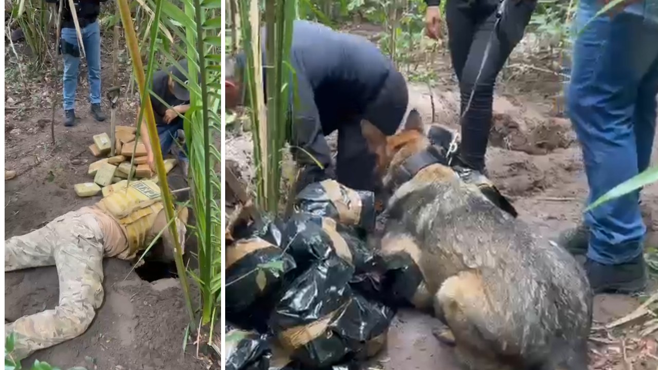 Veja vídeos: Polícia do PI apreende 400 kg de drogas em Caxias no MA