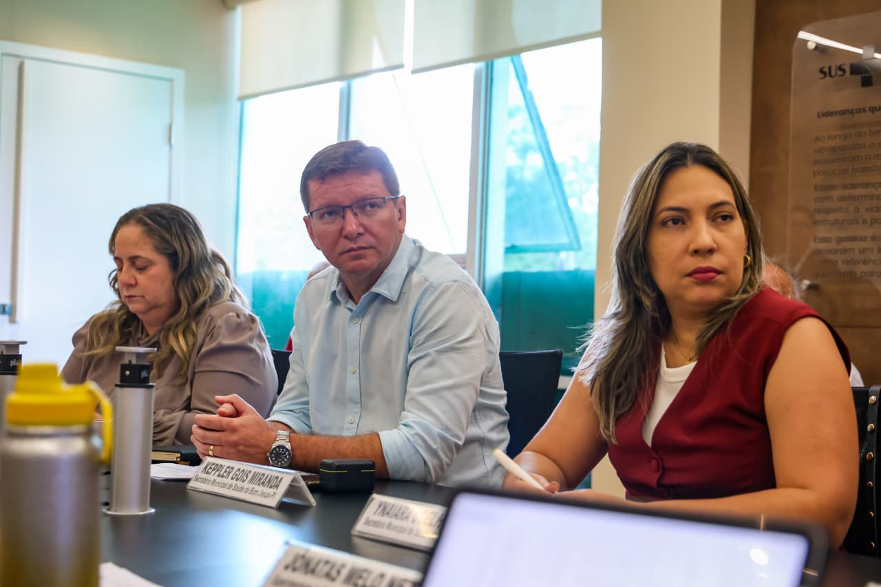 Sesapi reúne gestores municipais e reforça ações integradas no combate à dengue no Piauí