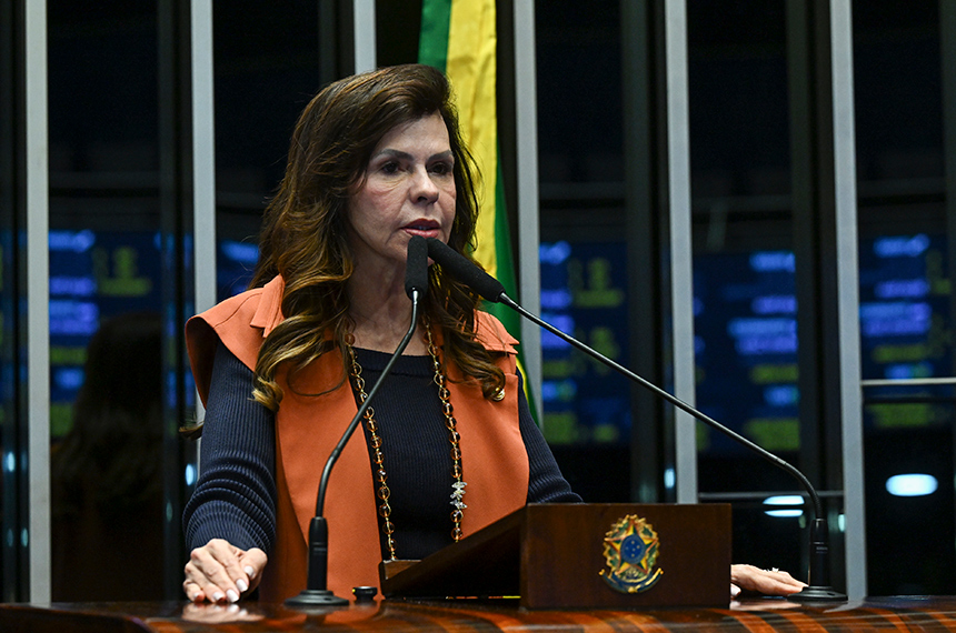Novo PNE garante mais recursos para as escolas, diz Professora Dorinha