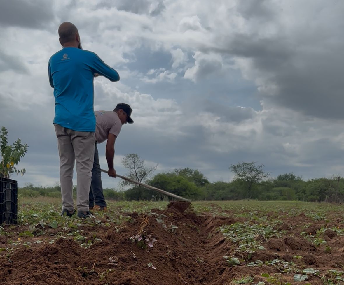 Semarh indica que chuvas vão se manter na segunda quinzena de abril, mas com distribuição irregular entre os municípios