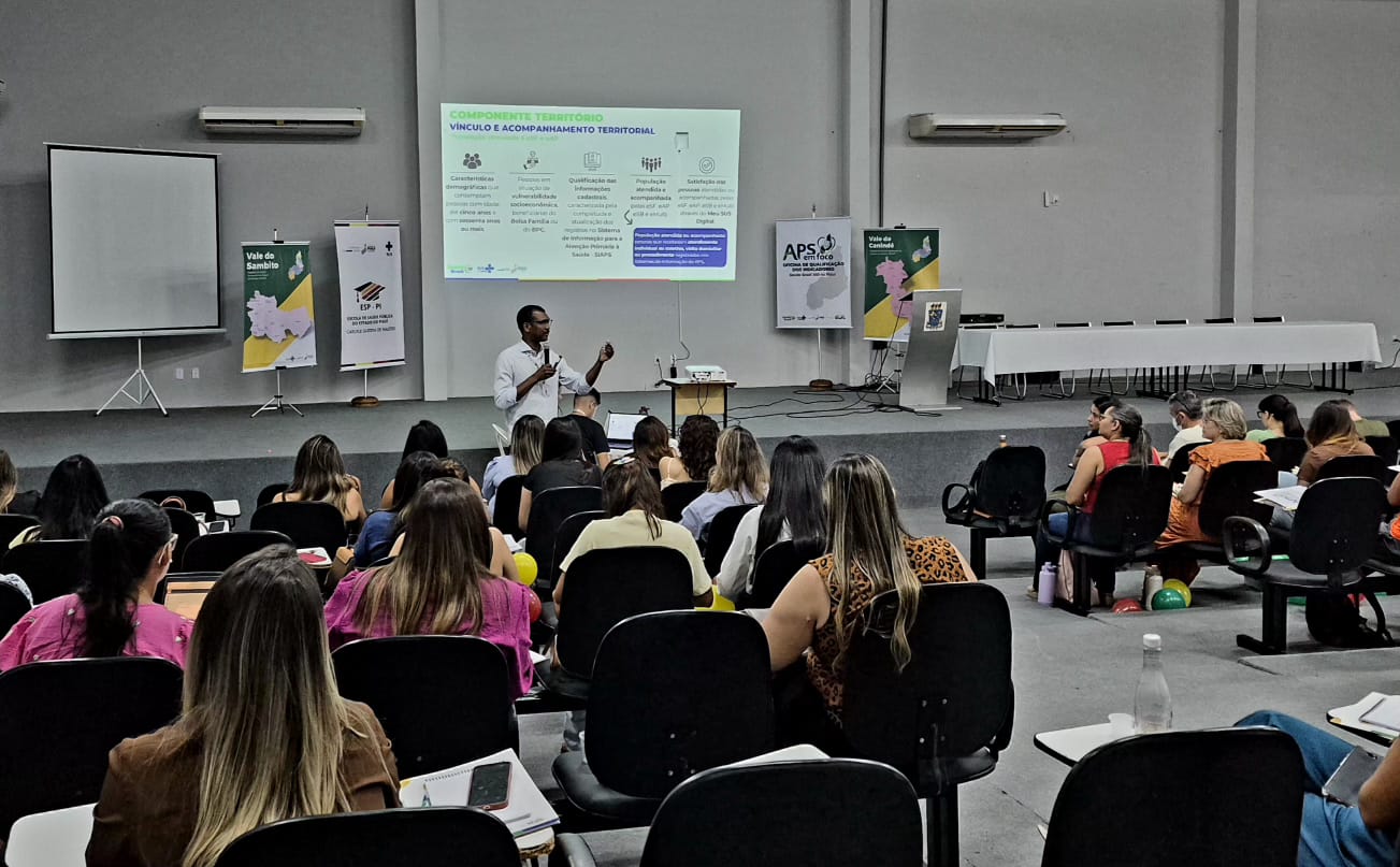 Sesapi qualifica equipes dos Vales do Sambito e Canindé na análise de indicadores da Atenção Primária à Saúde