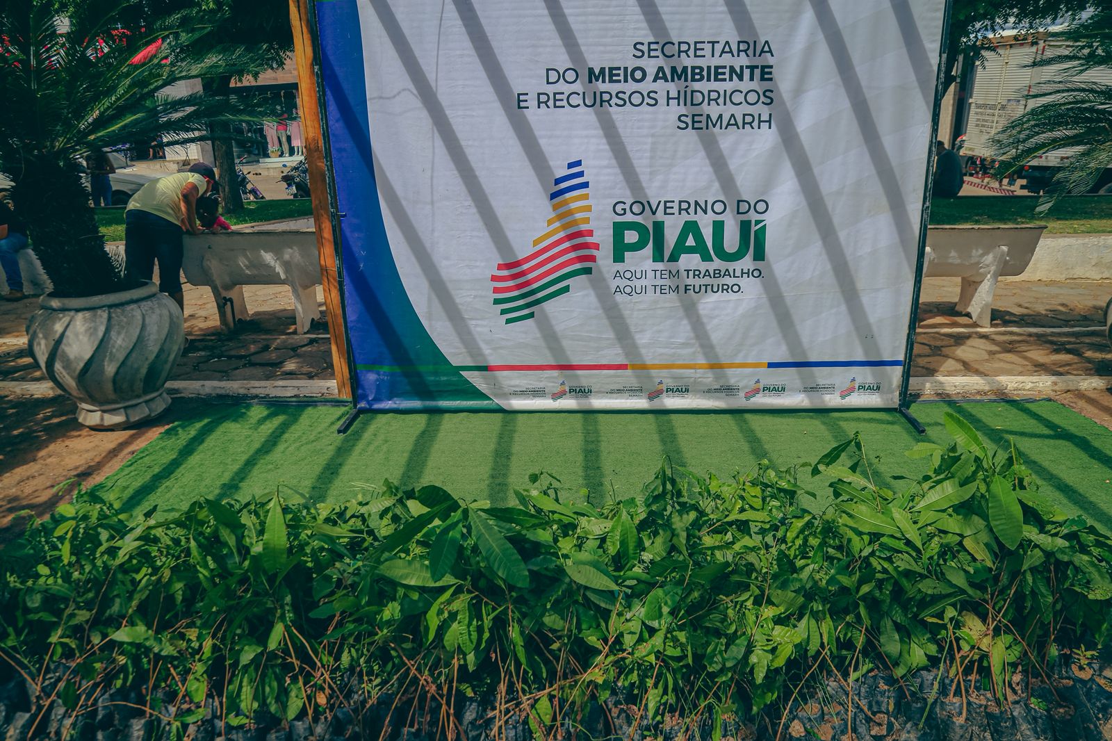 Semarh intensifica recuperação ambiental com entrega de 22 mil mudas em cinco municípios piauienses