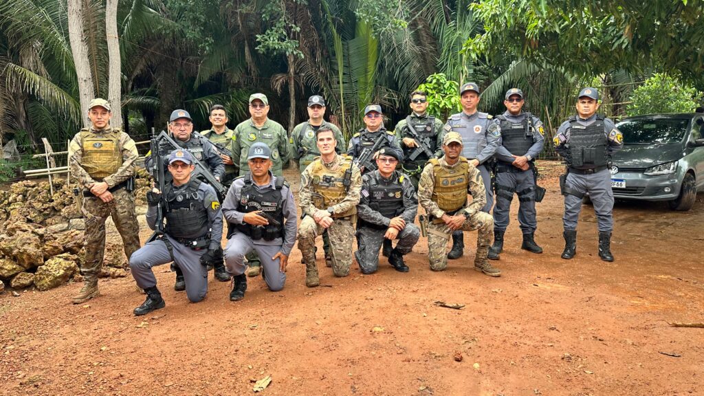 SSP-PI participa de apreensão de meia tonelada de entorpecentes, em Caxias, com apoio de cães farejadores