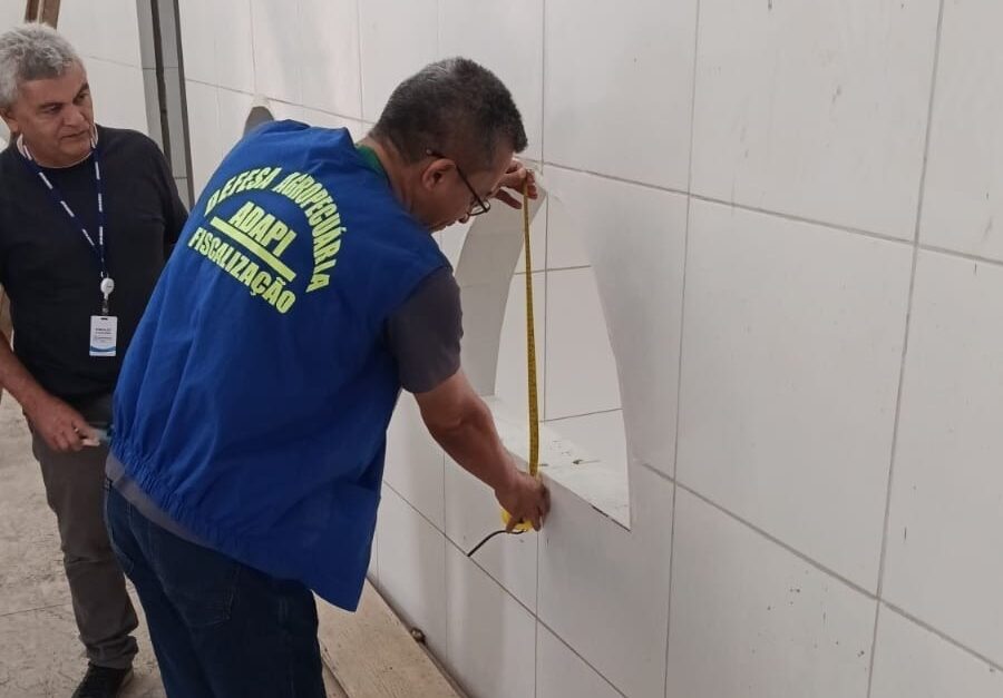 Adapi e Codevasf vistoriam instalações do maior abatedouro de caprinos e ovinos do estado em Betânia do Piauí