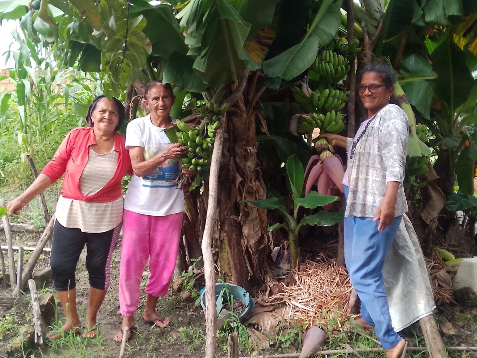 Com apoio do Estado, Programa de Aquisição de Alimentos gera renda e amplia acesso à alimentação de qualidade