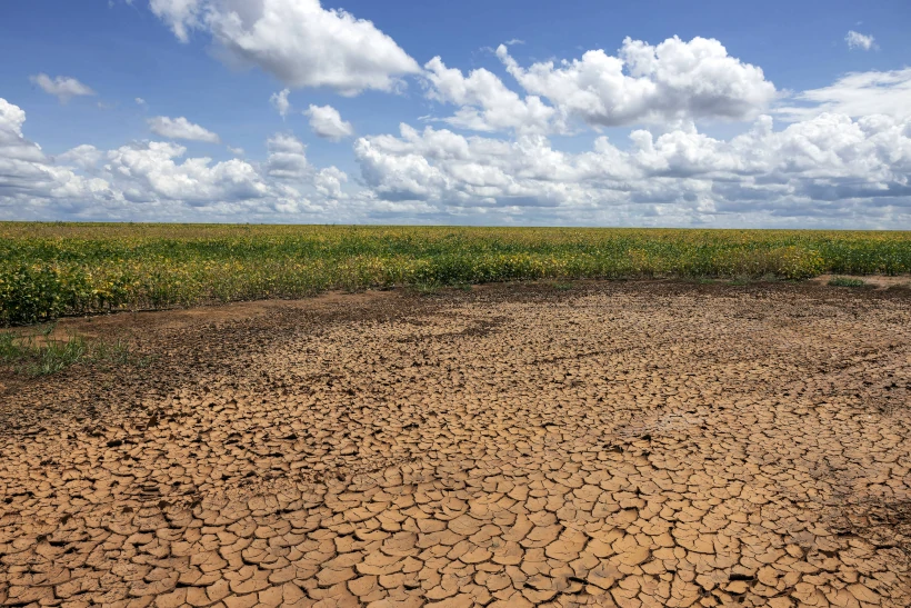 Piauí permanece 100% sob seca mesmo durante período chuvoso, aponta monitor da Semarh