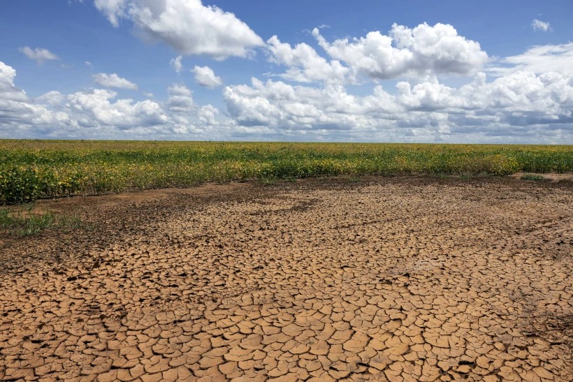 Piauí permanece 100% sob seca mesmo durante período chuvoso