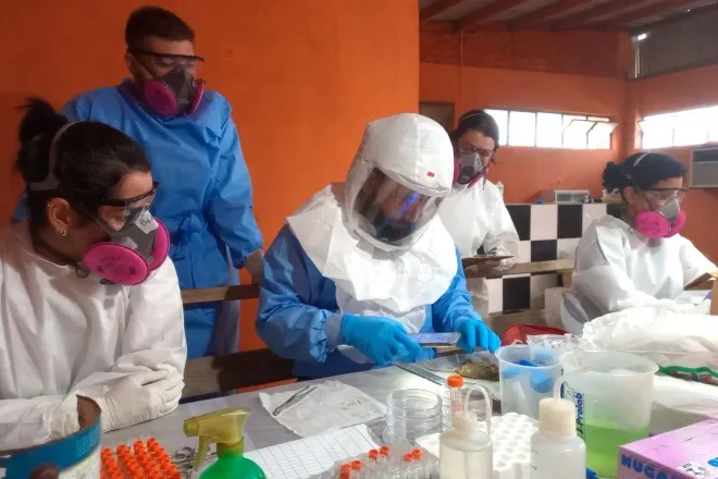 Paraná confirma dois casos de hantavírus e investiga 11 suspeitas