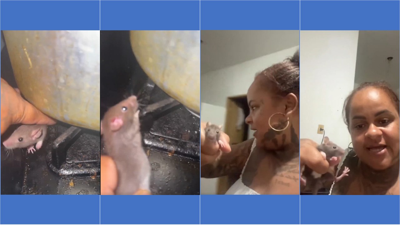 Mulher pega rato com as mãos e vídeo provoca debate sobre riscos sanitários