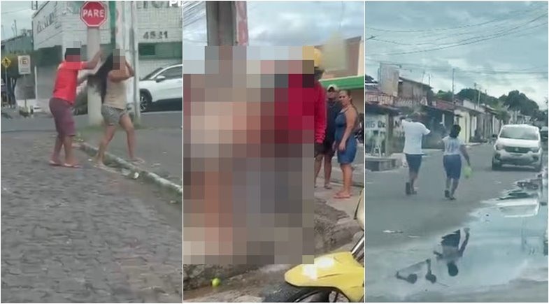 Moradores são atacados por enxame de abelhas na Zona Norte de Teresina
