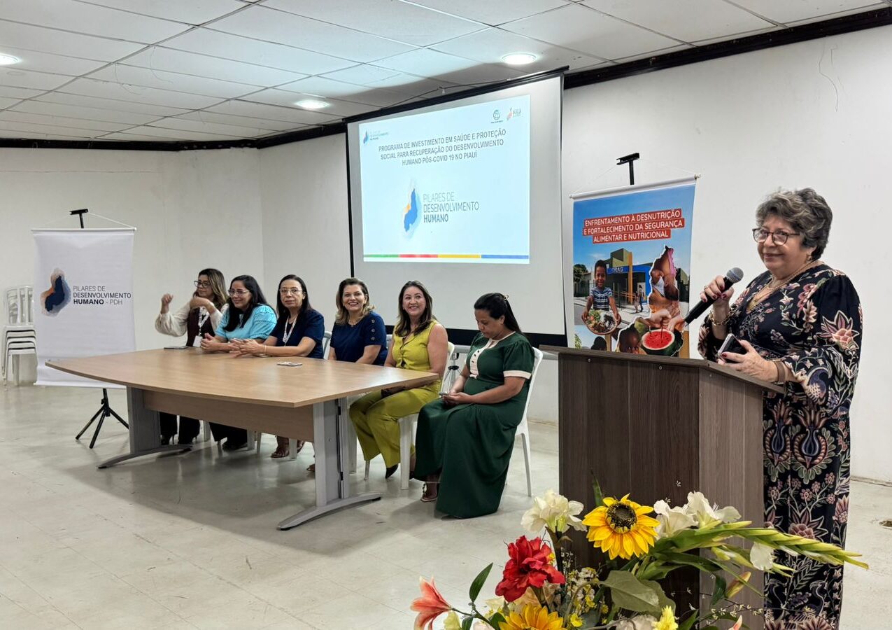 Capacitação em Picos fortalece atuação de saúde e assistência social no combate à desnutrição infantil