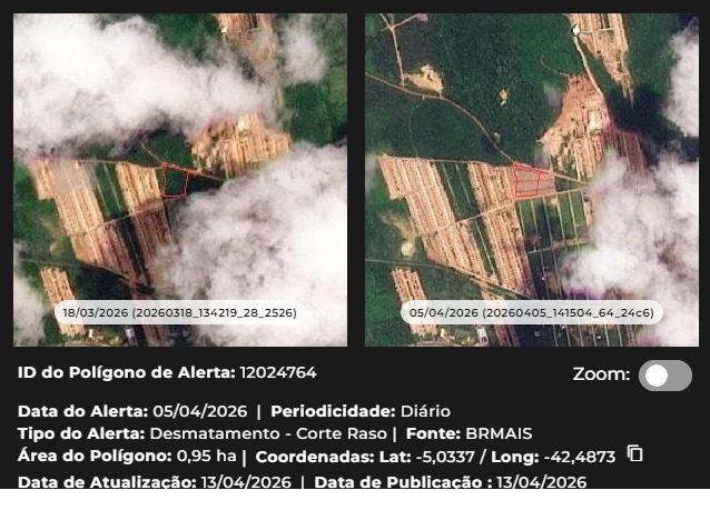 Piauí reduz desmatamento em 66,5% no Cerrado e vira referência para o Brasil em monitoramento ambiental