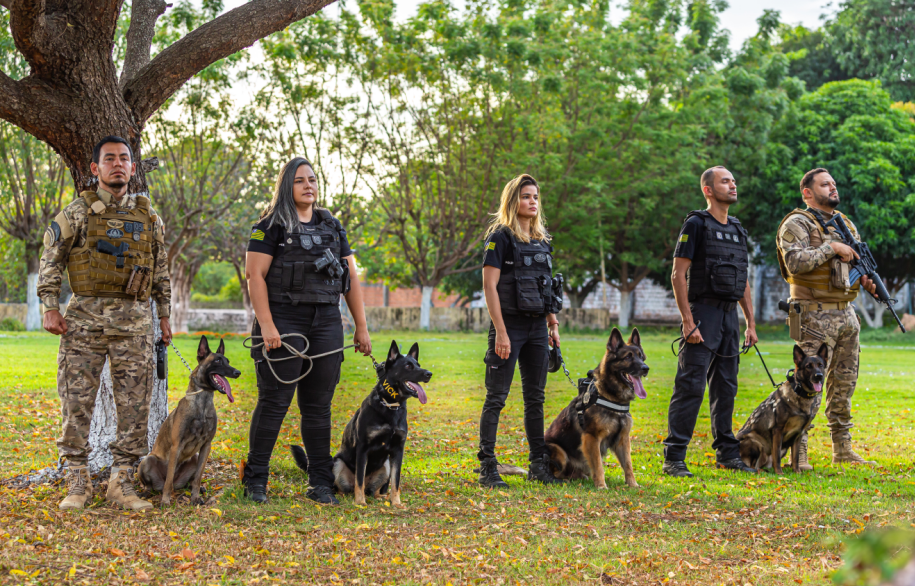 Teresina sedia curso nacional de buscas com cães farejadores para localizar desaparecidos na segunda (18)
