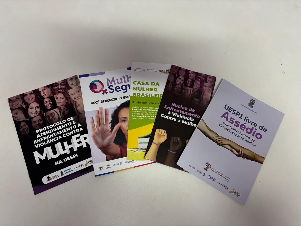 Governo do Piauí cria plano estadual para reduzir feminicídios e ampliar políticas públicas de proteção às mulheres