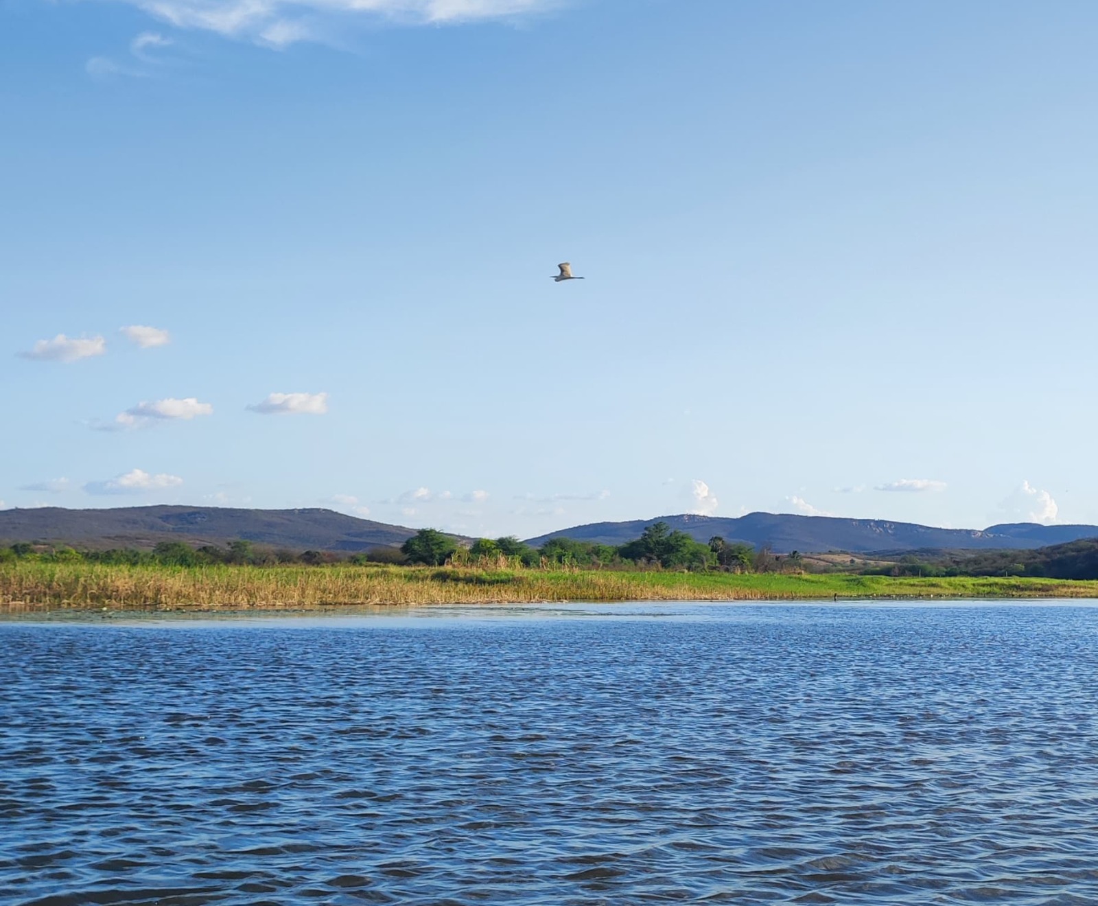 Biodiversidade: Piauí fortalece ações de preservação ambiental e proteção dos biomas presentes no estado