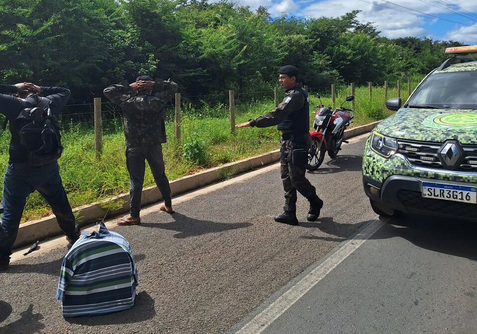Polícia Ambiental apreende aves silvestres em operação na zona sudeste de Teresina