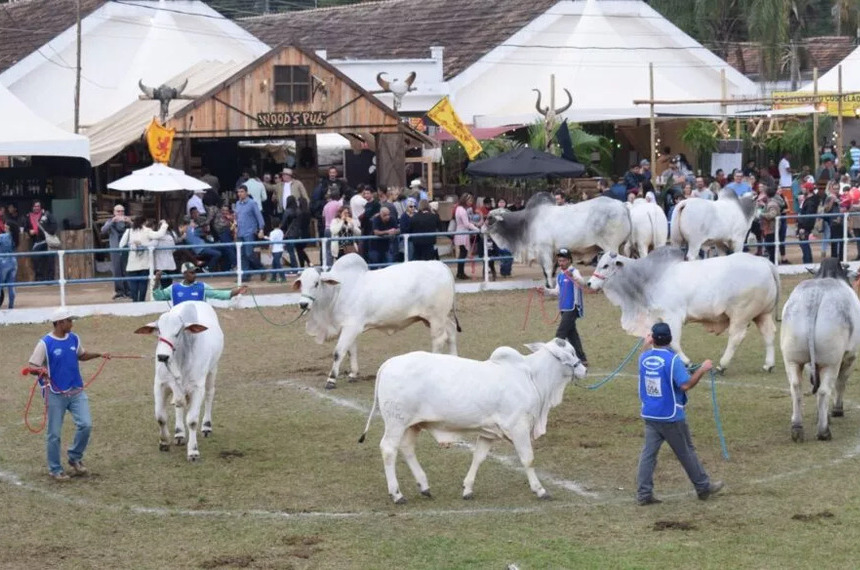 Sancionada lei que reconhece relevância cultural nacional da Expo Cordeiro (RJ)