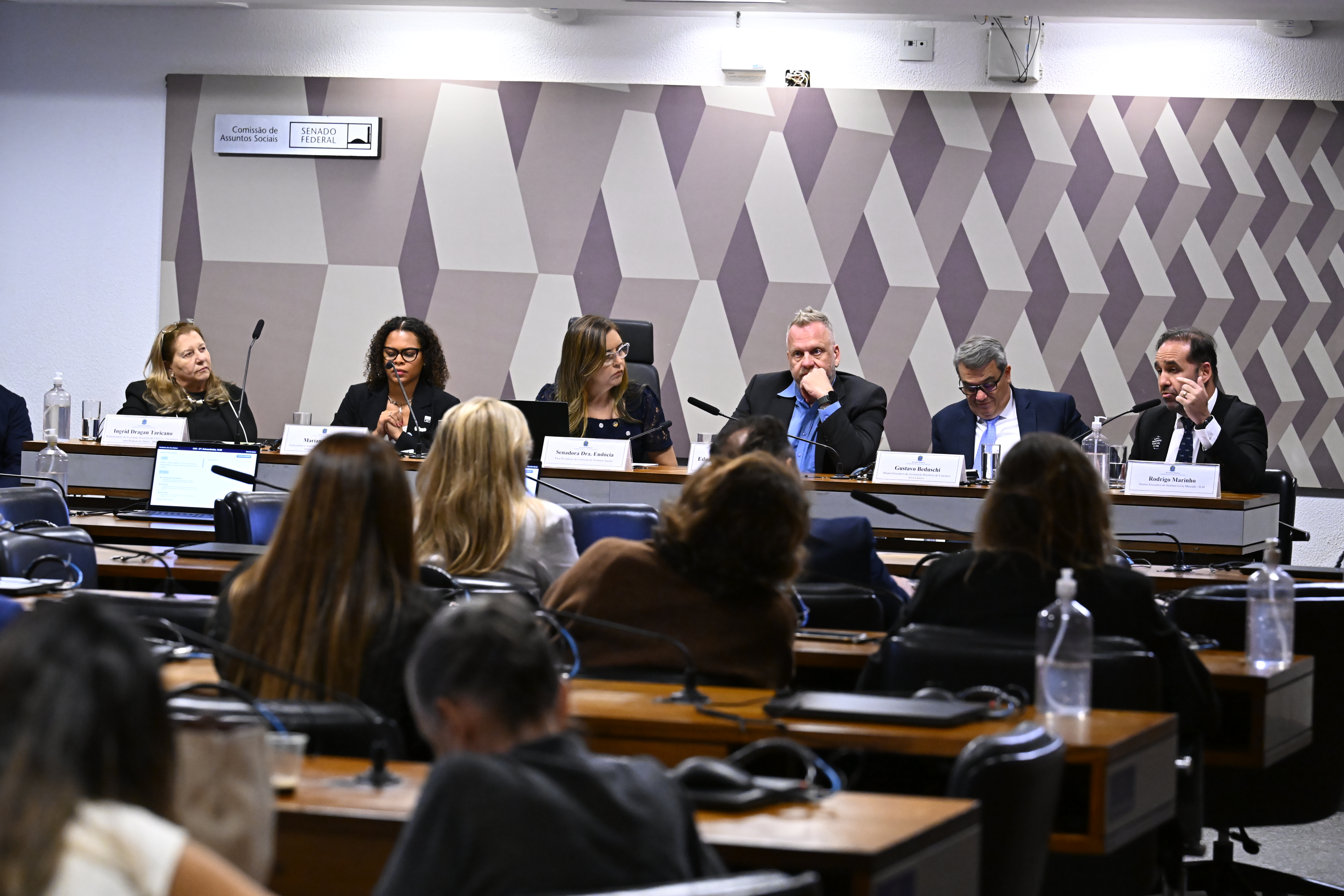 Conceito e questões de saúde contrapõem debatedores sobre ultraprocessados